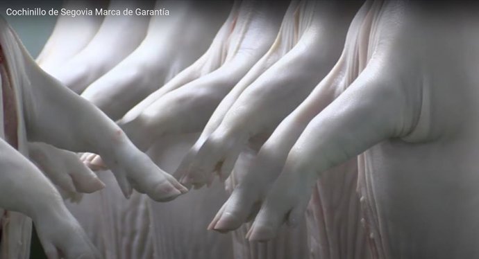 Manos cochinillos, cochinillo carne