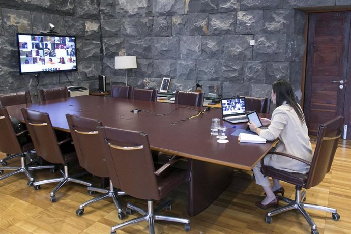La consejera de Turismo del Gobierno de Canarias, Yaiza Castilla, mantiene una reunión telemática con los miembros del Consejo Canario de Turismo