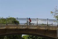 Levantan una docena de actas por incumplir las normas de los paseos con niños, la mayoría en Palma