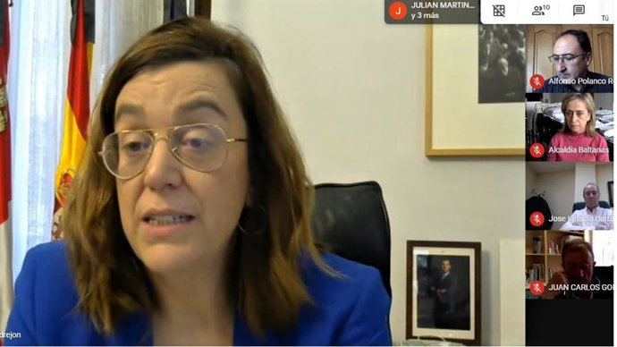 Captura de la videoconferencia de Ángeles Armisén con los agentes del Diálogo Social de Palencia.
