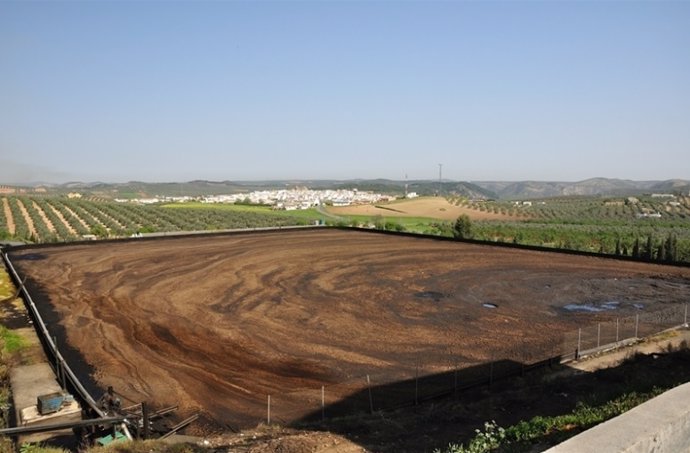 Parcela para la ampliación de la planta de tratamiento de orujo promovido por Oleícola El Tejar en Palenciana