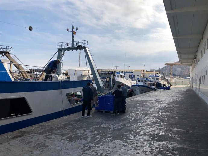 Muelle pesquero de Almería