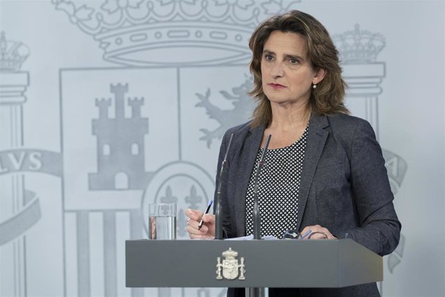 La ministra para la Transición Ecológica y el Reto Demográfico y vicepresidenta cuarta del Gobierno, Teresa Ribera, durante una rueda de prensa tras la videoconferencia entre el presidente del Gobierno, Pedro Sánchez, y los presidentes autonómicos, en Mad