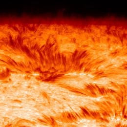 Actividades de Fundación Descubre para el confinamiento