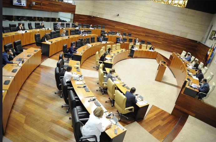 Lectura de la Declaración Institucional sobre el Día de Europa