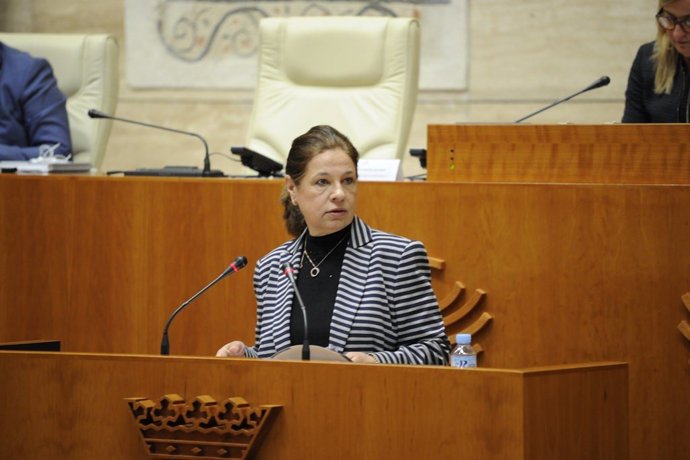 Pilar Blanco-Morales durante su intervención en el pleno de la Asamblea para la convalidación del decreto autonómico sobre contratación pública ante la crisis del Covid-19