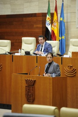 Pilar Blanco-Morales y el 'popular' Fernando Manzano durante el pleno de la Asamblea de Extremadura