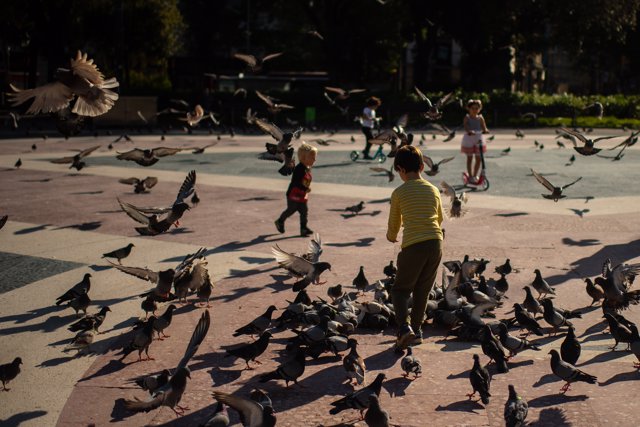 Plaza Cataluña en Barcelona