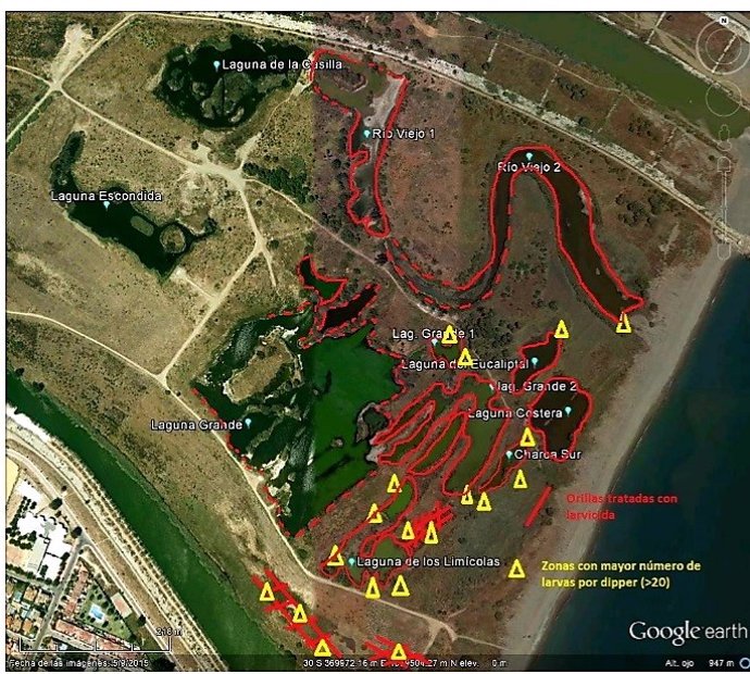 Zonas tratadas para control de mosquitos en el Guadalhorce y entorno