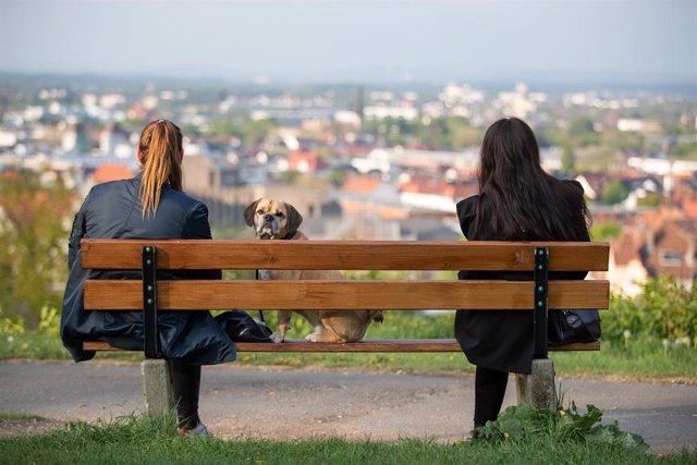 Dos mujeres sentadas junto a un perro en un banco de Bielefeld