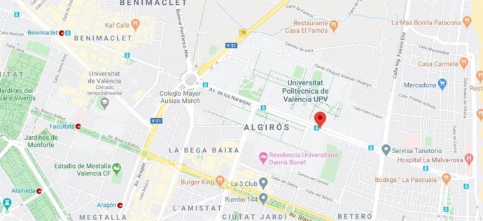 Avenida de los Naranjos de Valncia