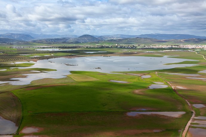 El Inventario de Humedales de Andalucía renueva sus contenidos con fichas actual