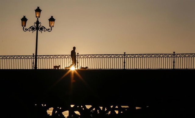 Un ciudadano  pasea su perro por el Puente de Triana con la Torre Sevilla al fondo en el 45 día de estado de alarma. Sevilla a 28 de abril del 2020