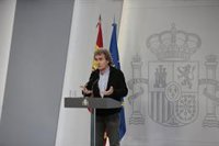 Simón explica que el mayor número de sanitarios contagiados es porque hacen "un número importante" de test