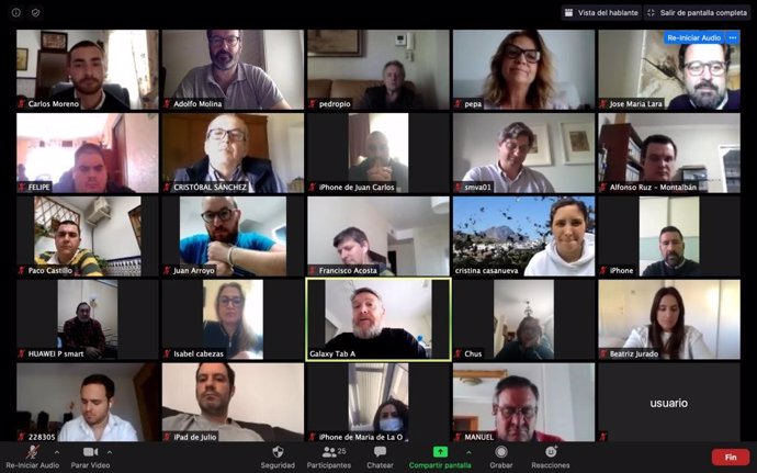Imagen de la reunión por videoconferencia celebrada por el PP de Córdoba. 
