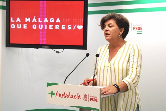 Málaga.- Coronavirus.- El PSOE de Málaga pone en valor las medidas de apoyo al s