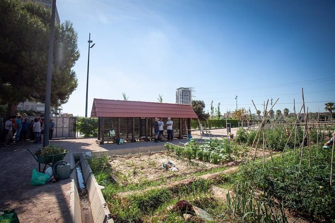 Valencia.- Los huertos urbanos de autoconsumo reabren con condiciones de entrada