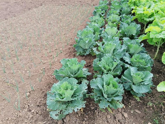 El 98% de los navarros ven necesario apoyar los productos agrícolas y ganaderos 