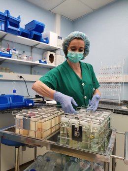 Profesional trabajando en el banco de leche del Hospital Reina Sofía