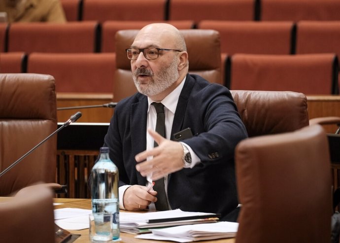 El portavoz parlamentario de Vox Andalucía, Alejandro Hernández, interviene en un debate sobre el coronavirus en la Diputación Permanente de la Cámara