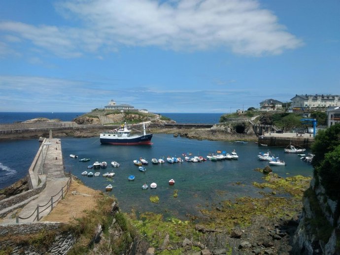 Clubes asturianos reclaman a las autoridades que permitan actividades de pesca y