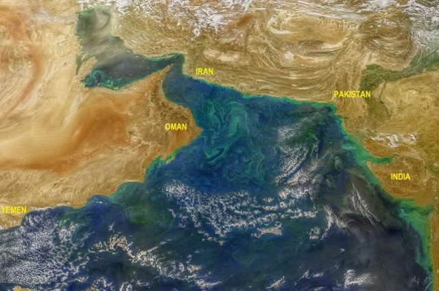 Floración de Noctiluca en el Mar Arábigo, vista desde el espacio
