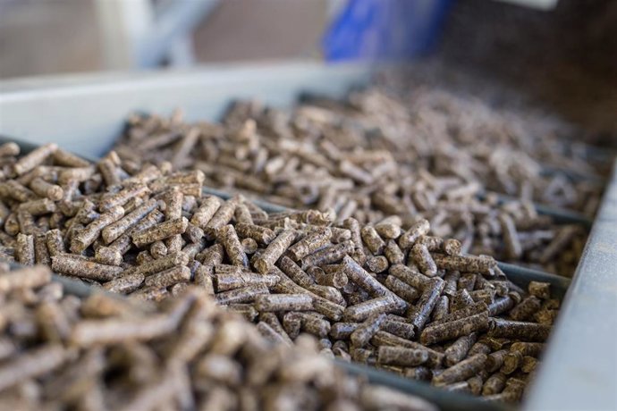 Las trece fábricas de pellets de Andalucía produjeron el pasado año 53.964 toneladas, el 8% del total nacional