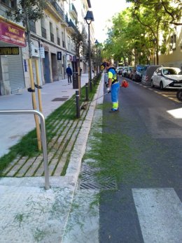 Un operario de limpieza de la empresa municipal trabajando en la calle Tous i Ferrer de Palma.