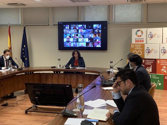 La presidenta del Consejo Superior de Deportes (CSD), Irene Lozano, en una reunión telemática con las federaciones deportivas españolas