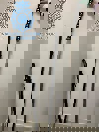 Detenido por las amenazas con una catana a vecinos de Los Remedios, en Sevilla, la noche del 'pescaíto'