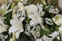 El Día de la Madre, mejor de lo esperado para el sector de la flor cortada en Andalucía, aunque "no soluciona nada"