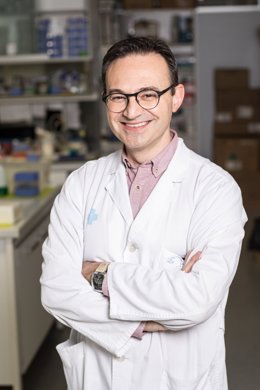 El jefe de sección de Neurología del Hospital Universitario Arnau de Vilanova (HUAV) de Lleida, Luis Brieva.
