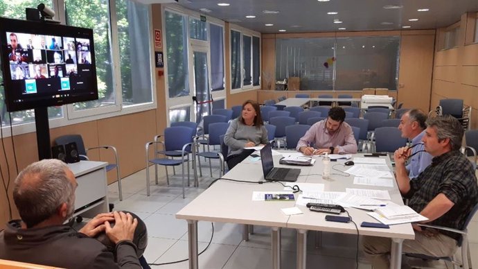 El Consejo de Caza aprueba por unanimidad nuevas medidas en la caza de la tórtola.