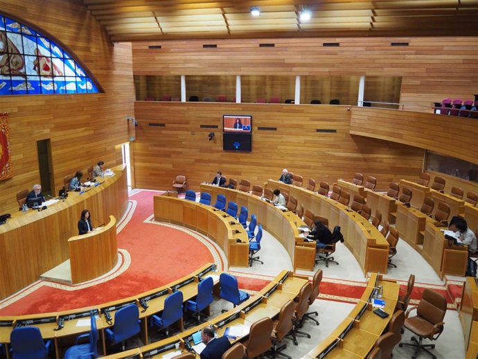 Diputación Permanente del Parlamento