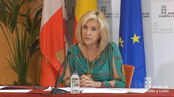 Captura de la comparecencia on line de la consejera de Sanidad.