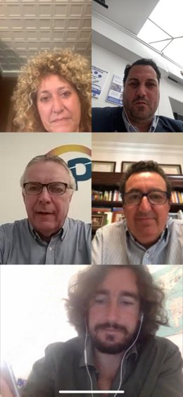 Imagen de la reunión telemática mantenida entre los miembros del Grupo Municipal del PP en el Ayuntamiento de Huelva y el presidente provincial, Manuel Andrés González