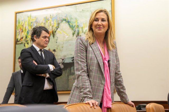 La vicesecretaria de Organización del PP, Ana María Beltrán Villalba, momentos antes del inicio de la comparecencia del ministro del Interior, Fernando Grande-Marlaska, En Madrid (España) a 23 de abril de 2020.