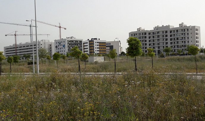 Solar de la zona de Pescadería, en Huelva capital