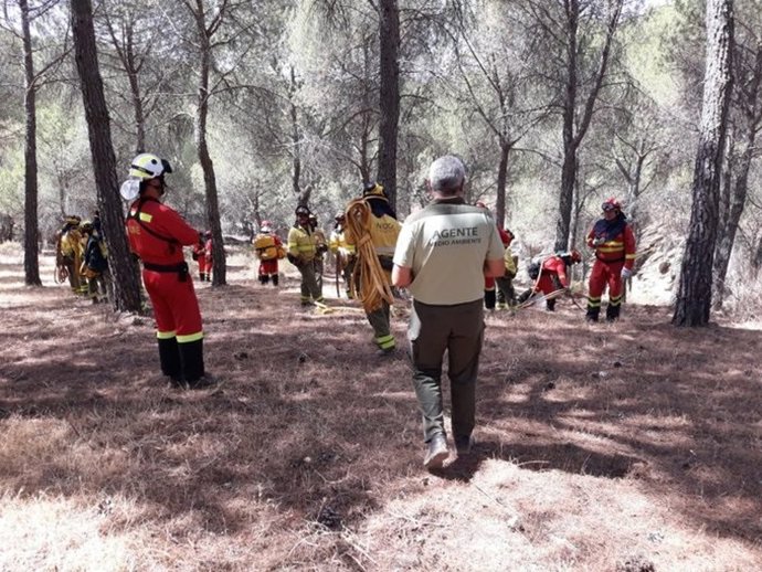 Efectivos del Infoca en una imagen de archivo