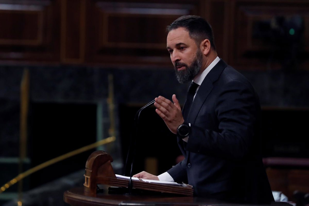 Abascal amenaza con una moción de censura y promueve manifestaciones en ...