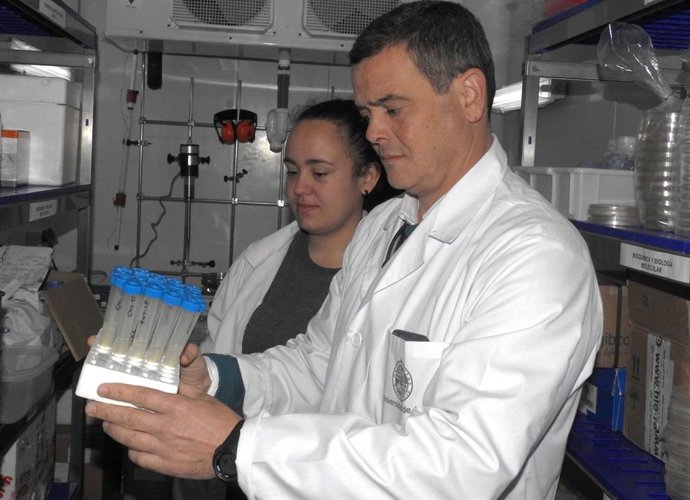 El investigador de la UJA Antonio Caruz