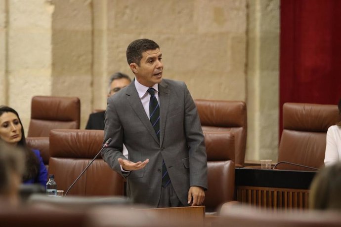 El portavoz parlamentario de Ciudadanos (CS), Sergio Romero, en el Pleno del Parlamento.