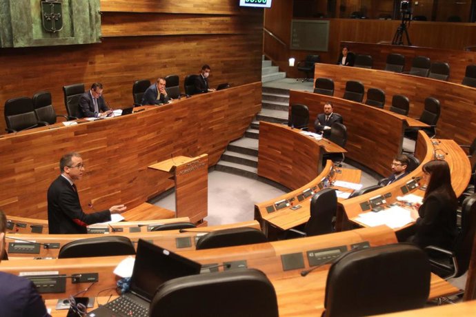 Pleno de la Junta General durante el Estado de Alarma.