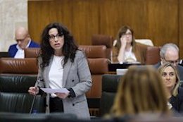 La consejera de Igualdad, Rocío Ruiz, en una imagen de archivo en el Pleno del Parlamento. 