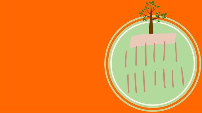 Cartel de la formación de SETEM Catalunya