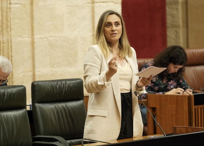 La consejera de Fomento, Marifrán Carazo, en el Pleno del Parlamento