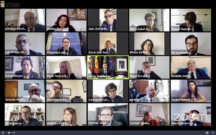 Pleno telemático de la Diputación de Almería
