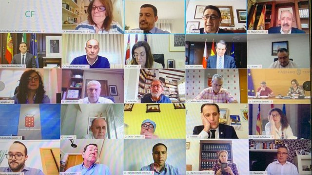 Reunión telemática de la Comisión de Diputaciones, Cabildos y Consejos Insulares de la FEMP