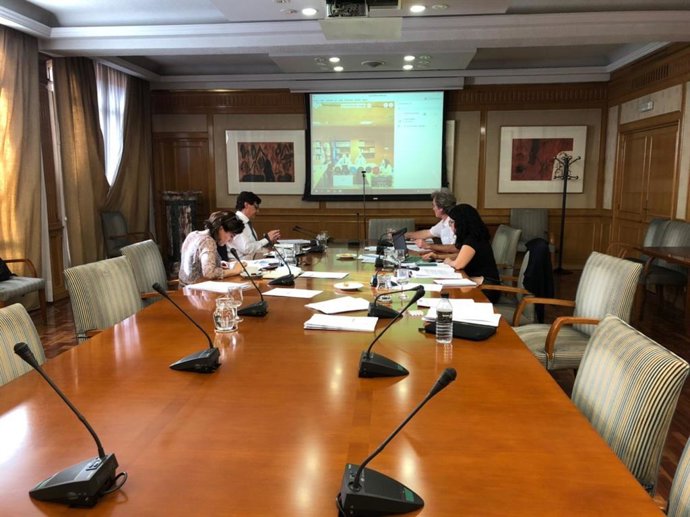 Videoconferencia con Castilla-La Mancha