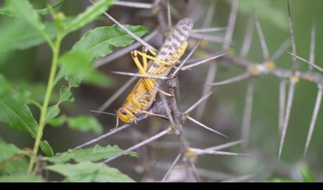 Cooperación y Desarrollo